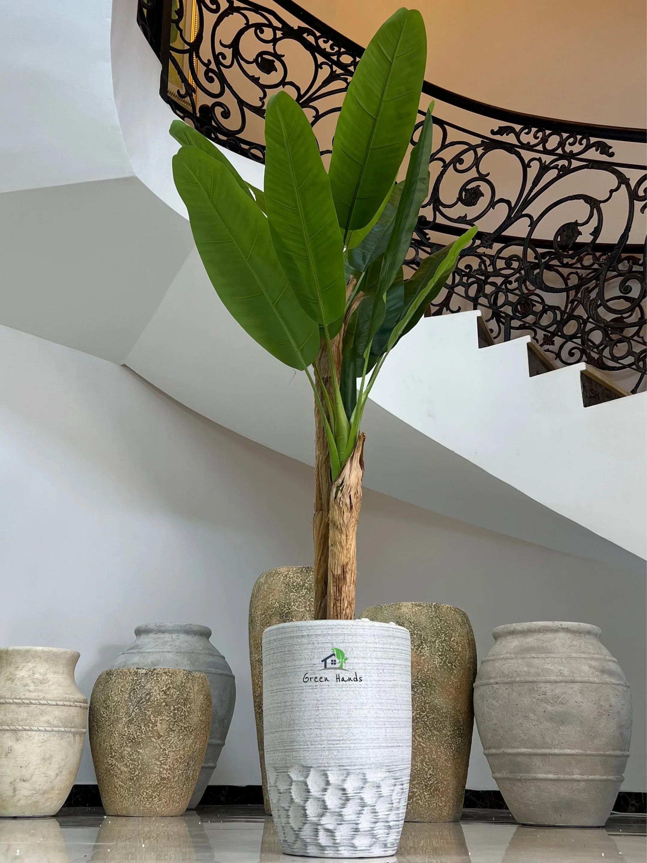 Artificial-Banana-Tree-190-cm-in-Grey-Honey-Comb-Ceramic-Pot