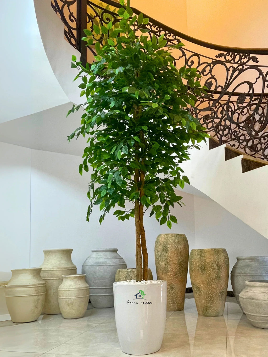 Artificial-Ficus-220-cm-in-White-Ceramic-Pot
