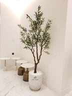 Artificial-Olive-Tree-210-cm-in-Grey-Honey-Comb-Ceramic-Pot