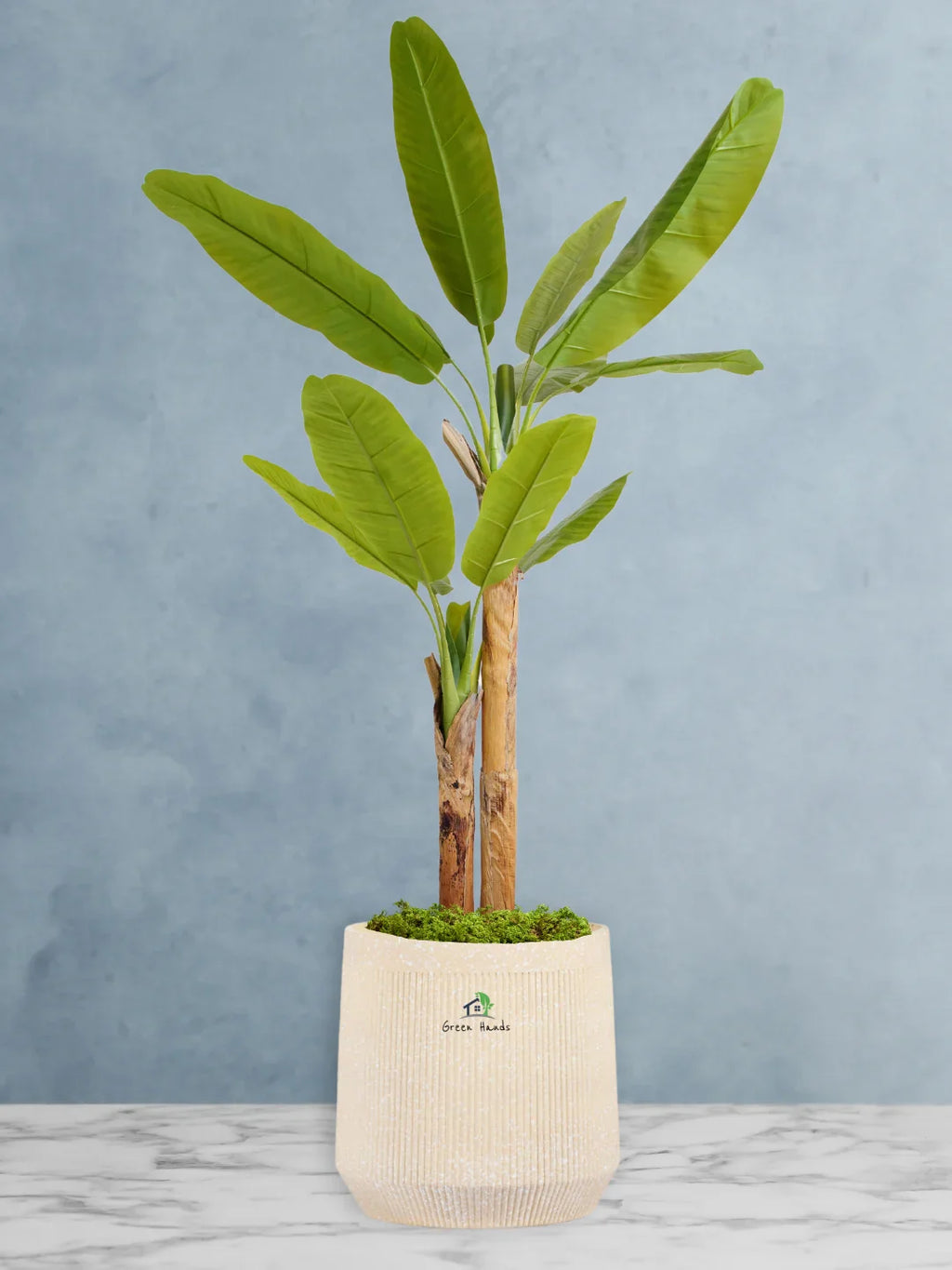 Artificial-Banana-Tree-190-cm-in-Premium-Arabian-Sand-Fiber-Pot