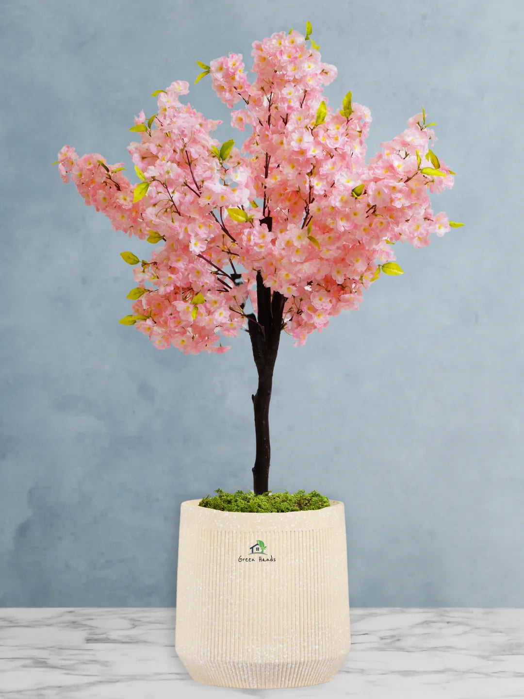 Potted-Artificial-XL-Cherry-Blossom-Tree-in-Arabian-Sand-Fiber-Pot