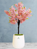 Potted-Artificial-XL-Cherry-Blossom-Tree-in-White-Fiber-Pot