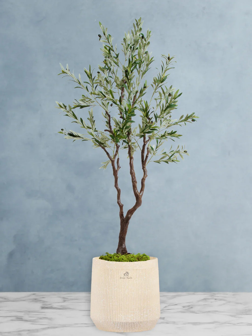 Potted-Artificial-XXL-Olive-Tree-in-Premium-Arabian-Sand-Fiber-Pot