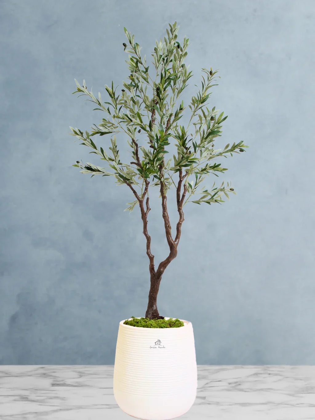 Potted-Artificial-XXL-Olive-Tree-in-Premium-White-Fiber-Pot