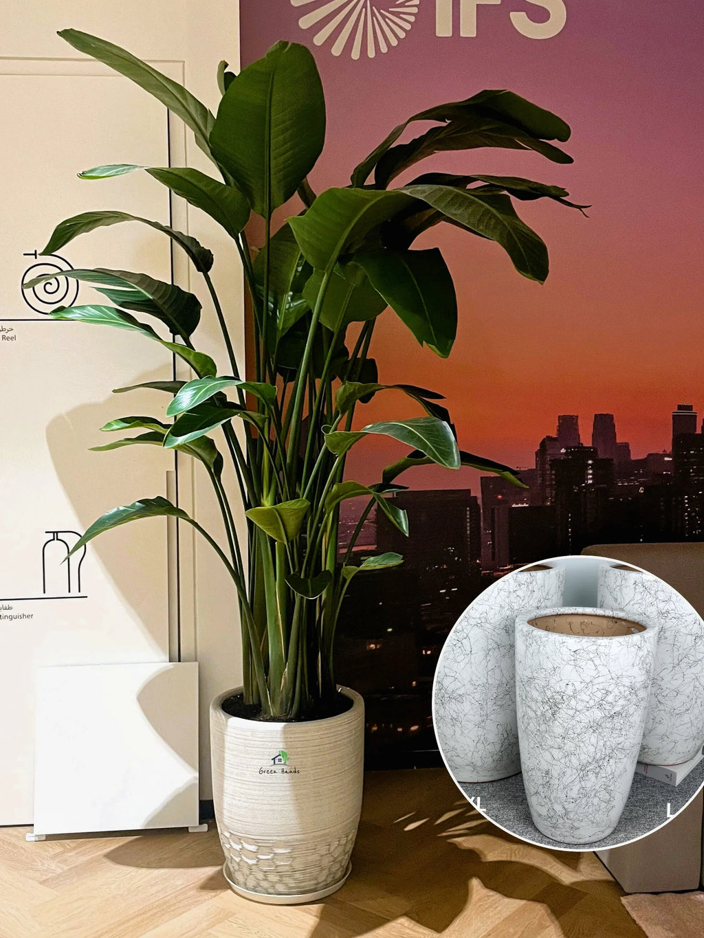 XL-Bird-of-Paradise-in-Marble-Ceramic-Pot