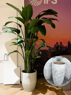 XL-Bird-of-Paradise-in-Marble-Ceramic-Pot