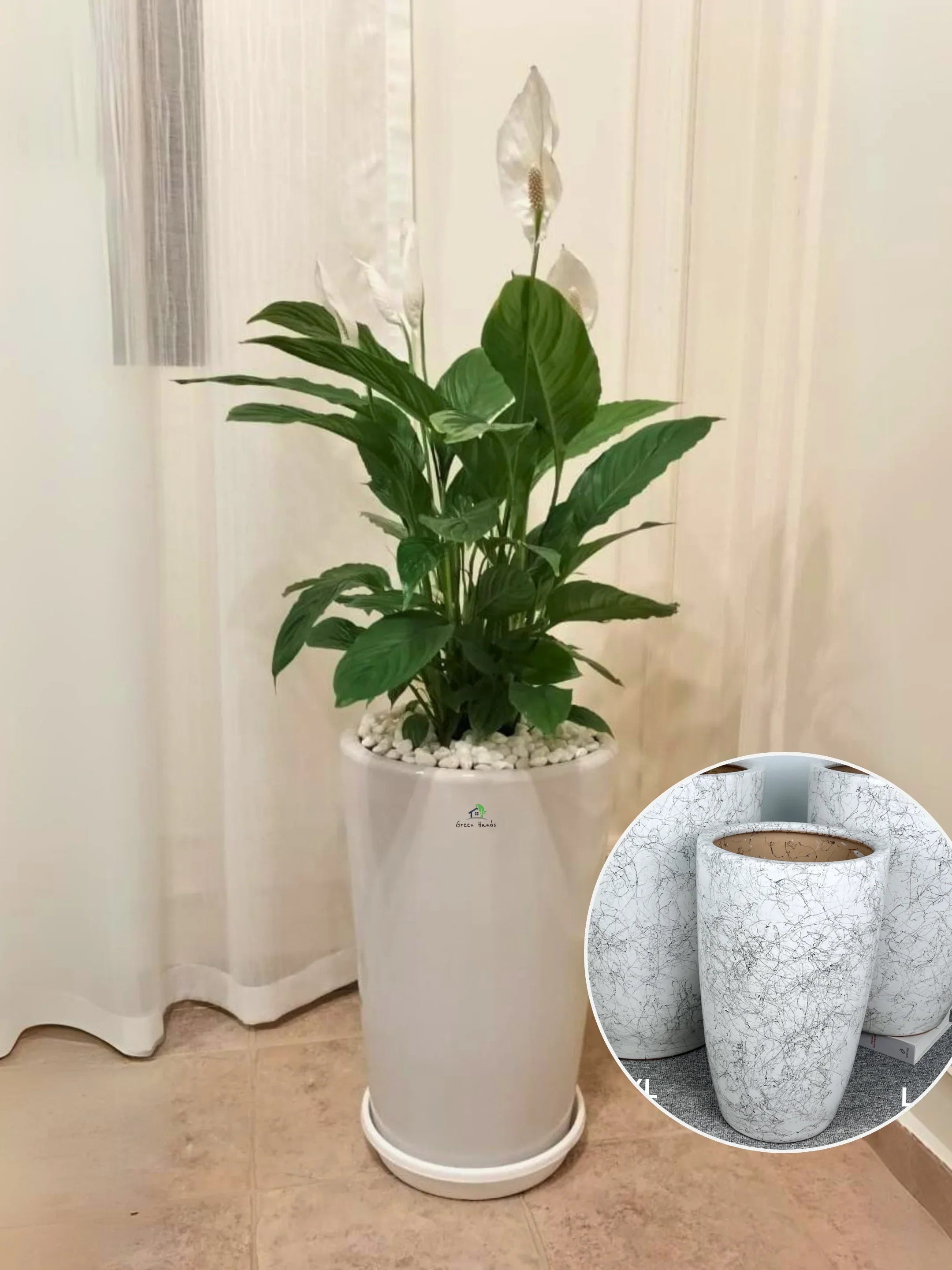 XL-Peace-Lily-in-Marble-Ceramic-Pot